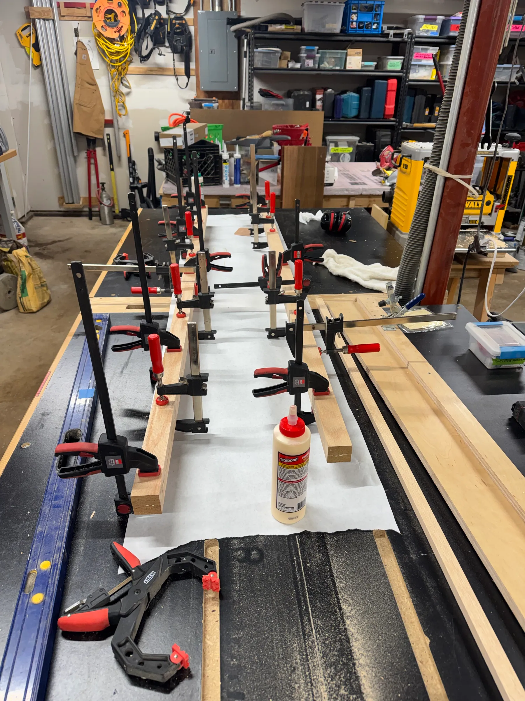 Red oak boards clamped up on the workbench during glue-up, a bottle of wood glue alongside.